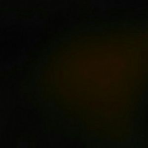 Meet your Posher, Chyna