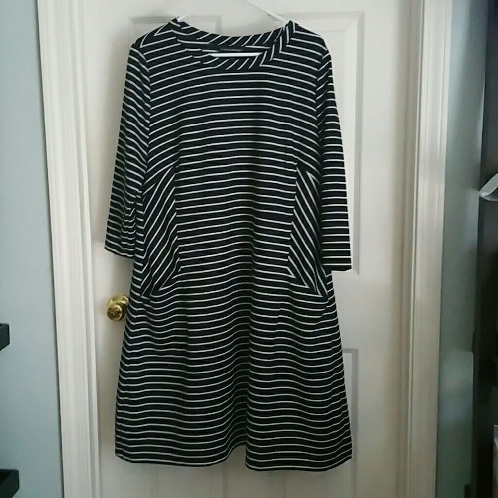 Lane Bryant Dress