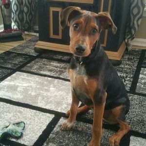 Meet your Posher, Joanne