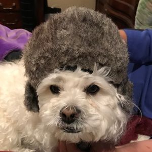 Meet your Posher, Joseph