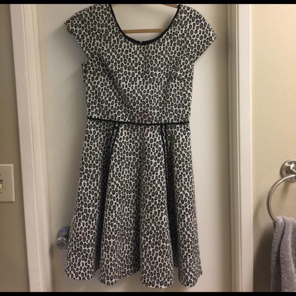 Rachel Zoe Iryna Full Skirt Dress Size 8