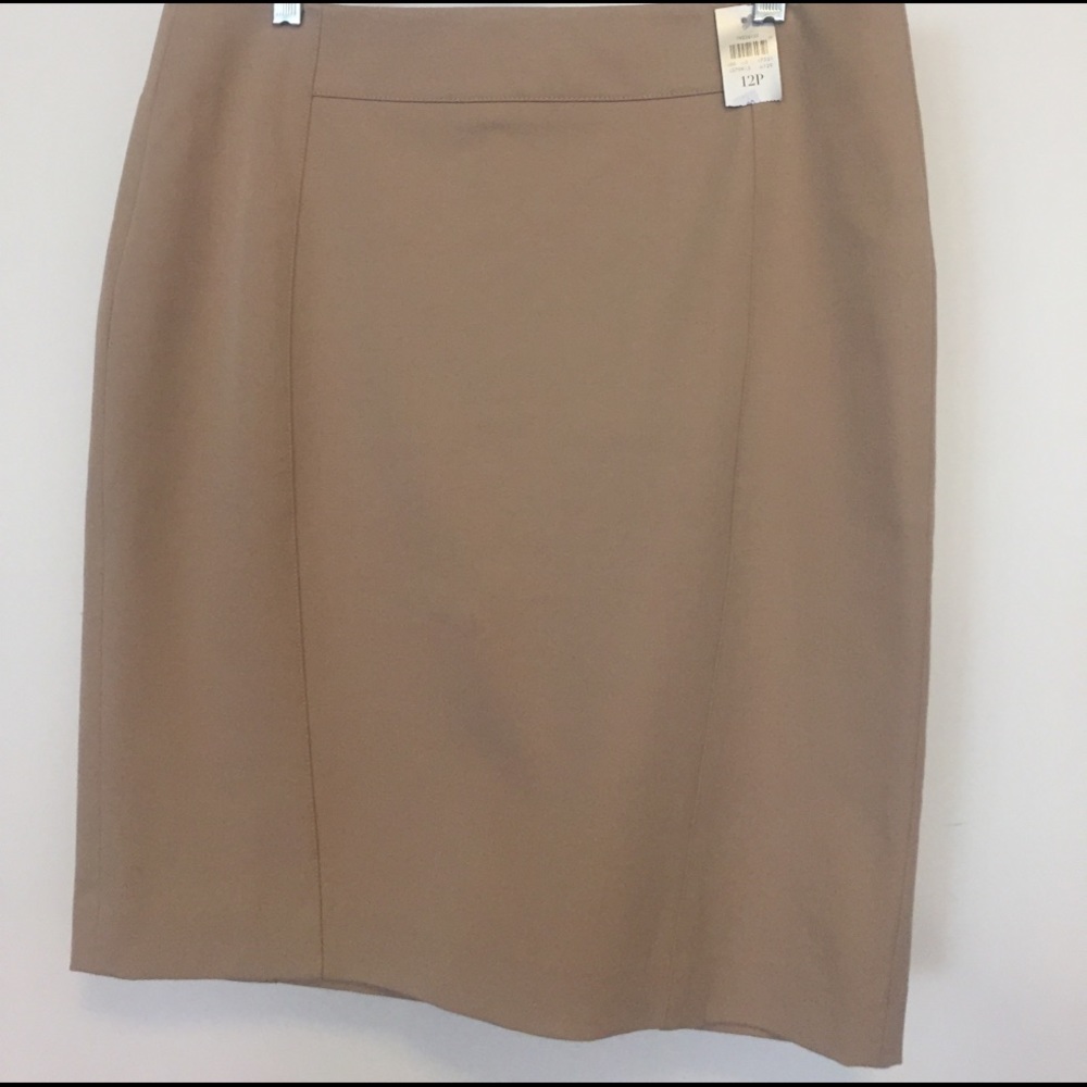 NWT Ann Taylor pencil skirt 12P