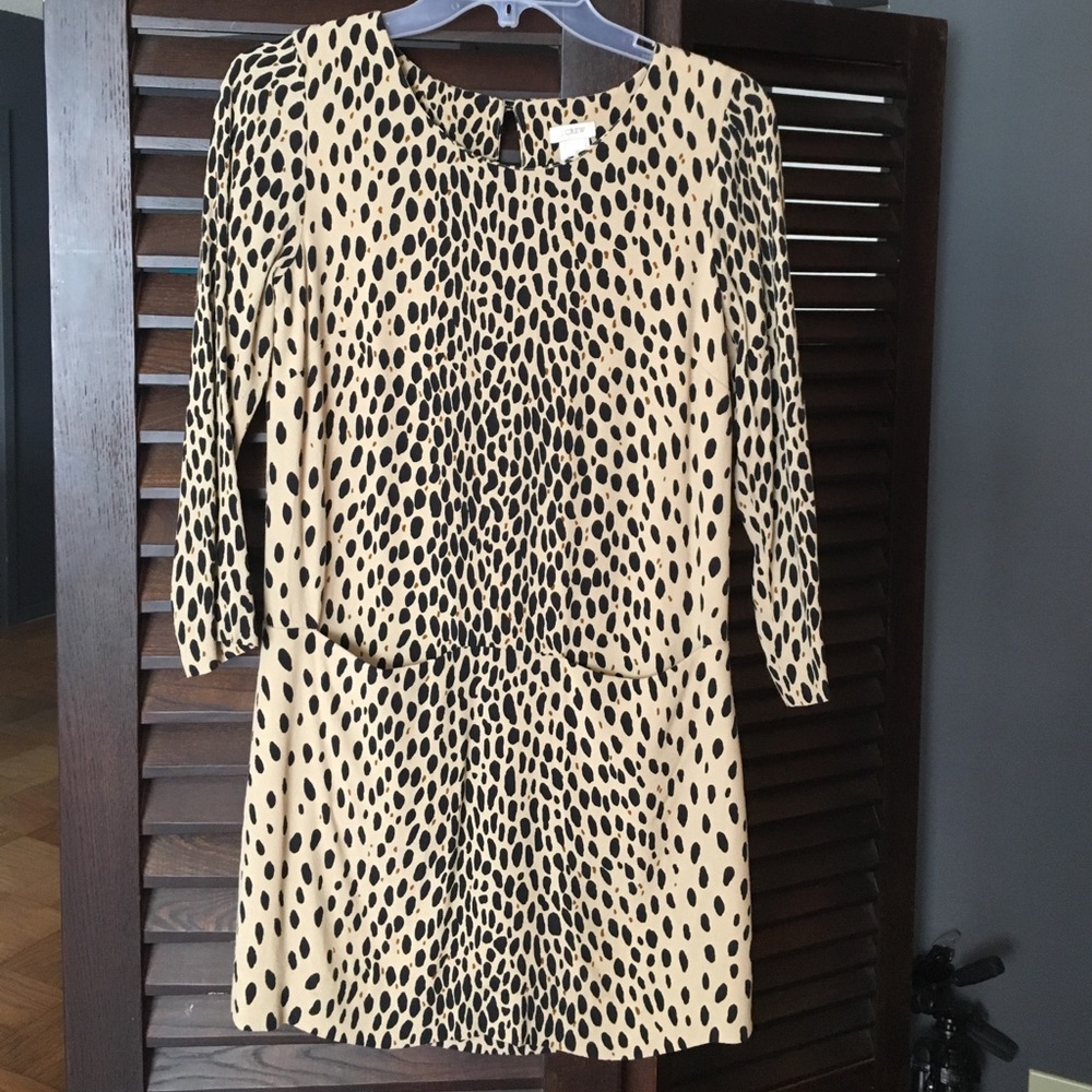 J Crew dress