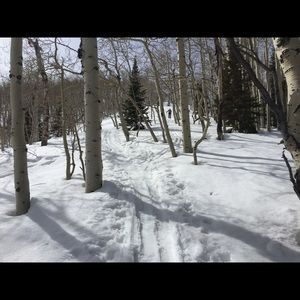 Meet your Posher, Brook