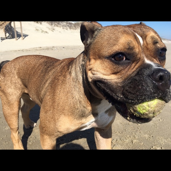 Meet your Posher, Rachel - Picture 1 of 1