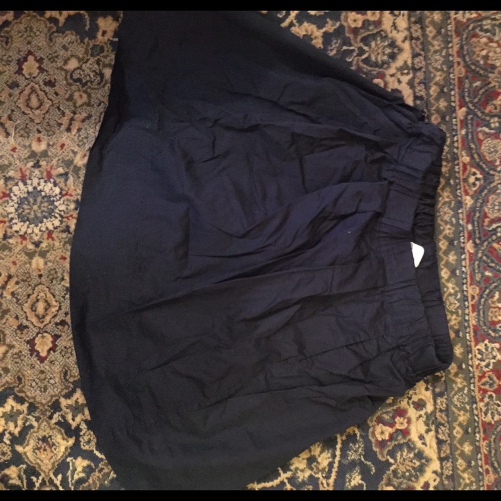 Everlane Navy skater skirt