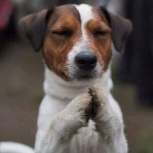 Meet your Posher, Nicholas