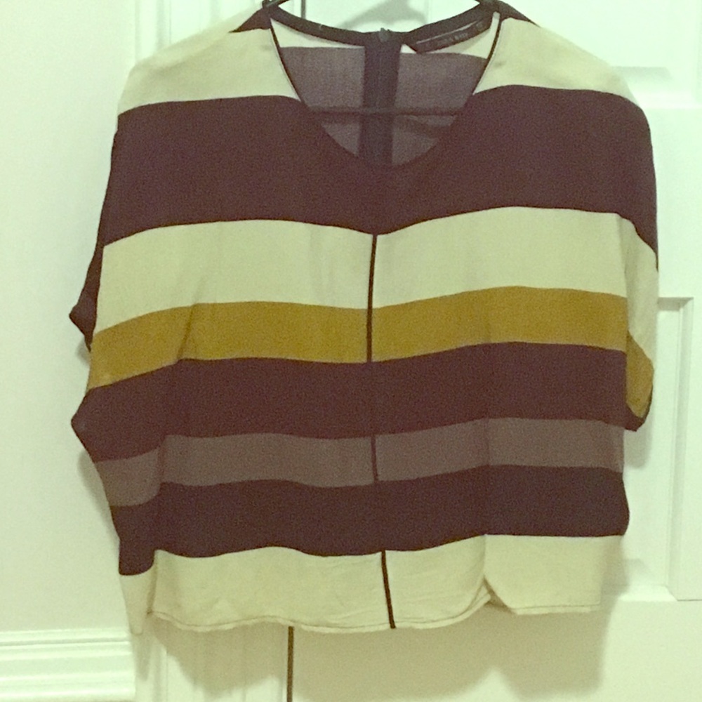 Striped shirt sleeve blouse