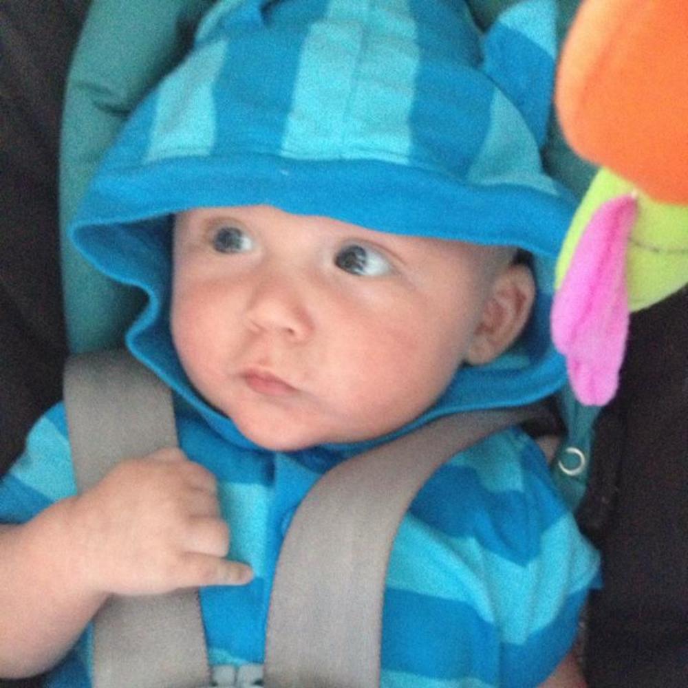 Meet your Posher, Shannon