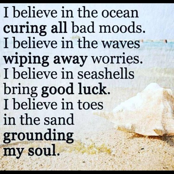 Meet your Posher, Susan - Picture 2 of 8