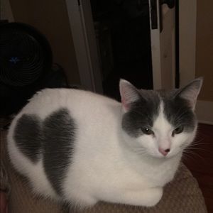 Meet your Posher, Jackie