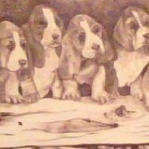 Meet your Posher, Krista