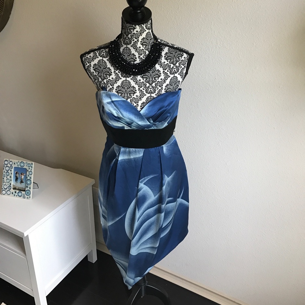 BCBGMaxAzria Dress Silk