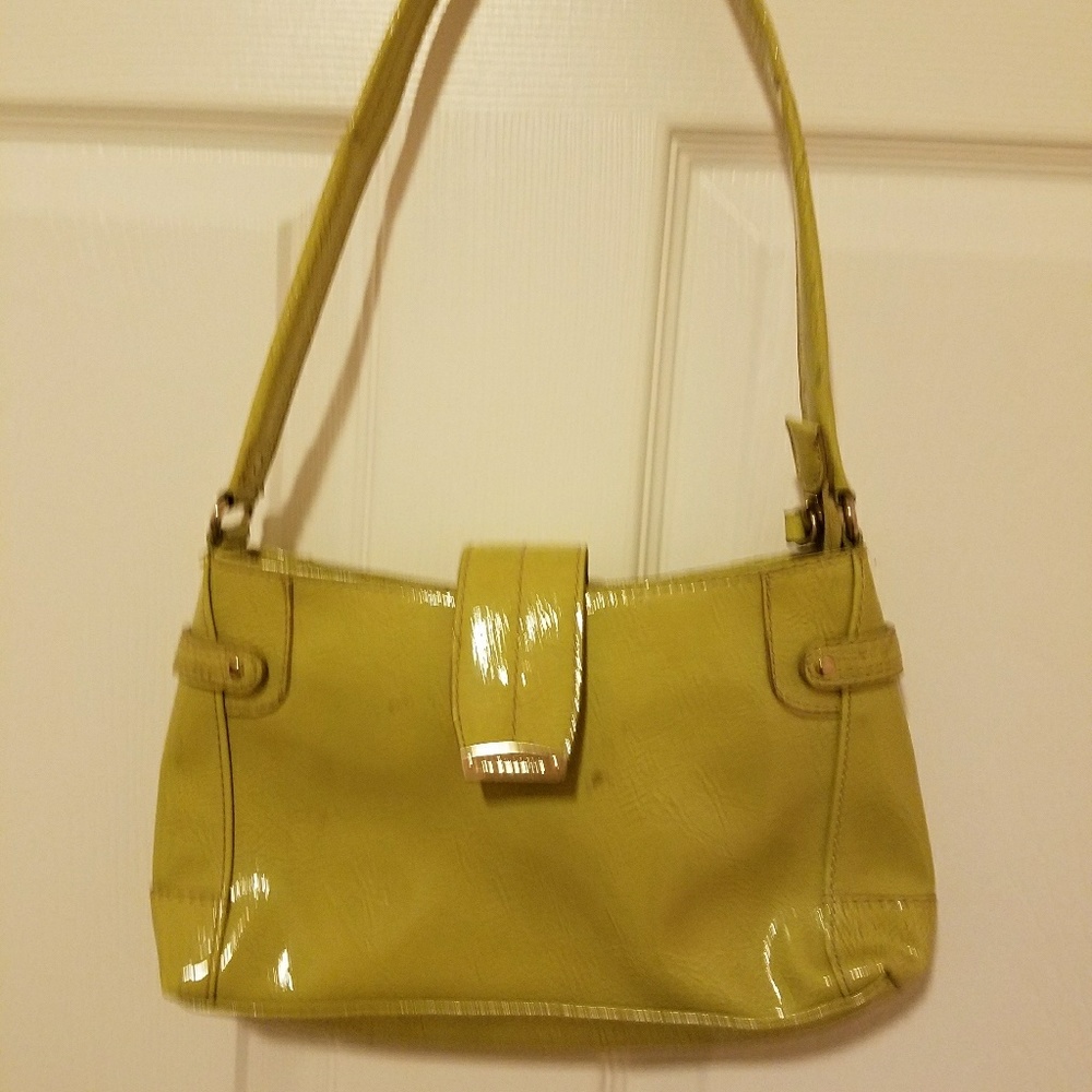 LIZ CLAIREBOURNE green bag
