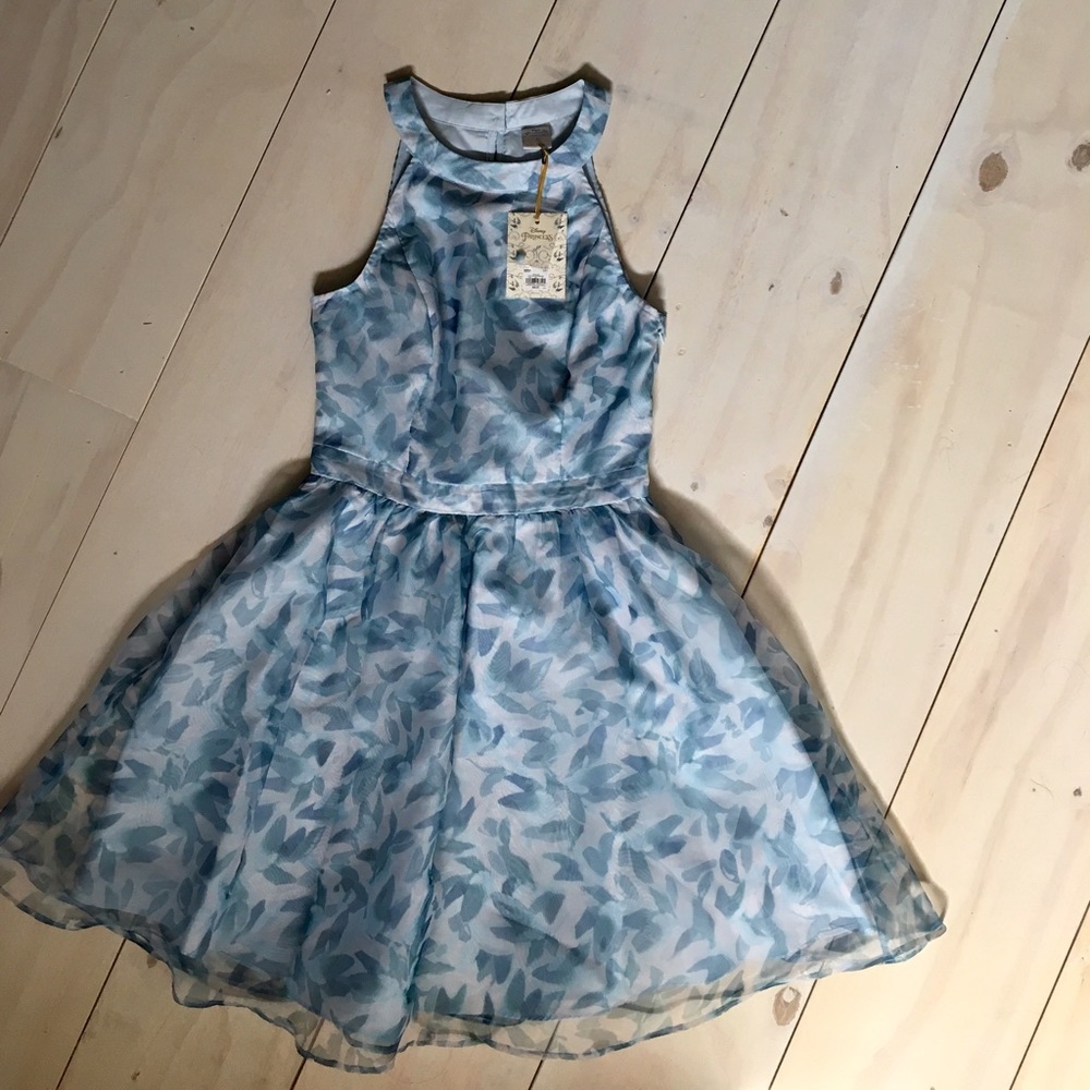 Disney Princess Cinderella LC Lauren Conrad Dress