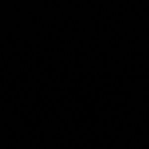 Meet your Posher, Shylee