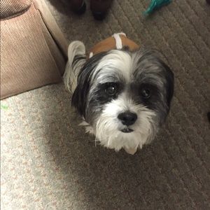 Meet your Posher, Rhonda