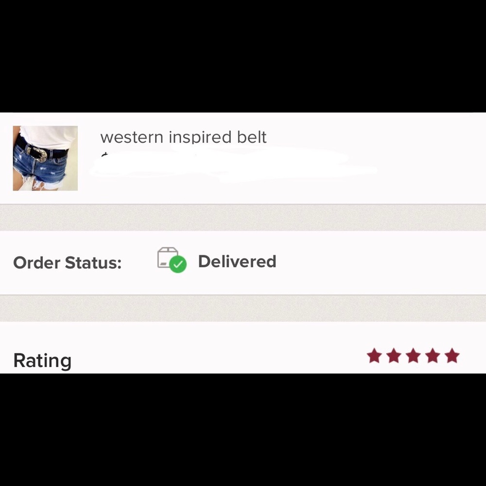 LAST ONE! western inspired belt - Picture 3 of 3