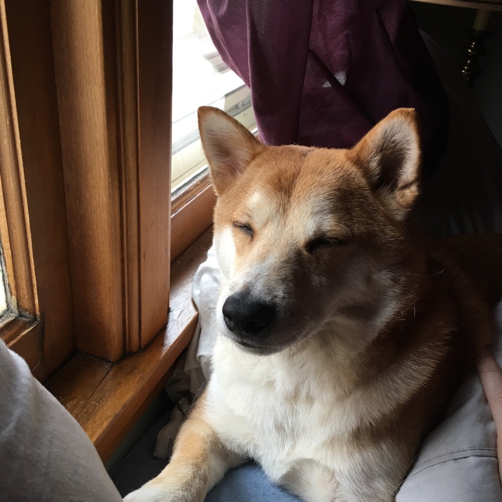 Meet your Posher, Katherine