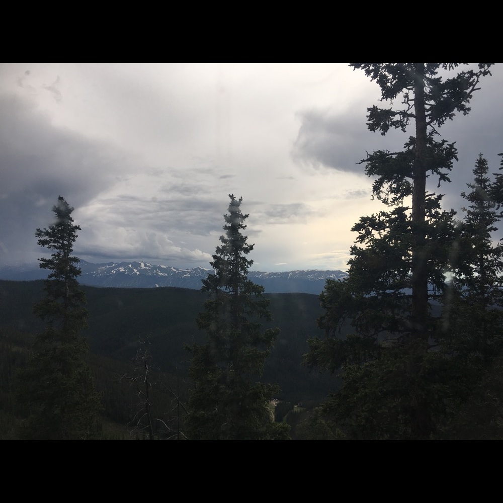 Meet your Posher, Ann