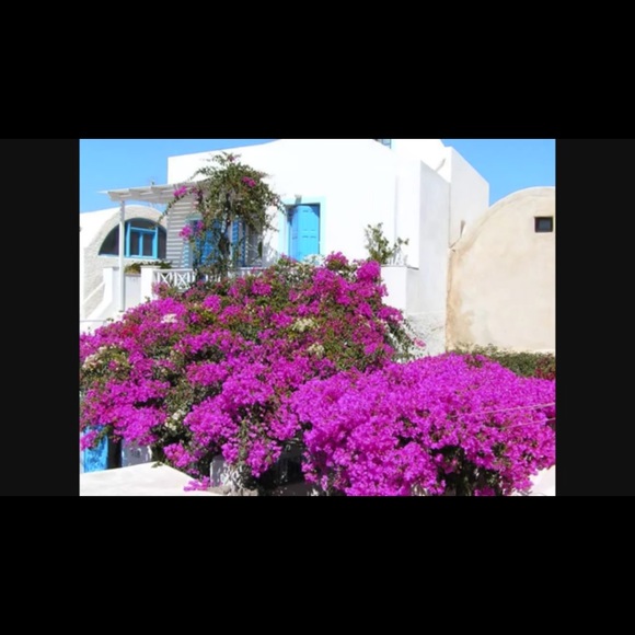 Meet your Posher, Stacey - Picture 1 of 1