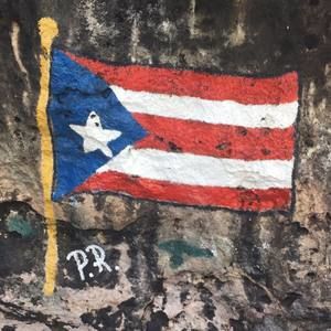 Meet your Posher, Carmen