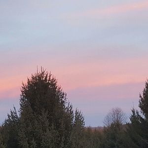 Meet your Posher, Katrina