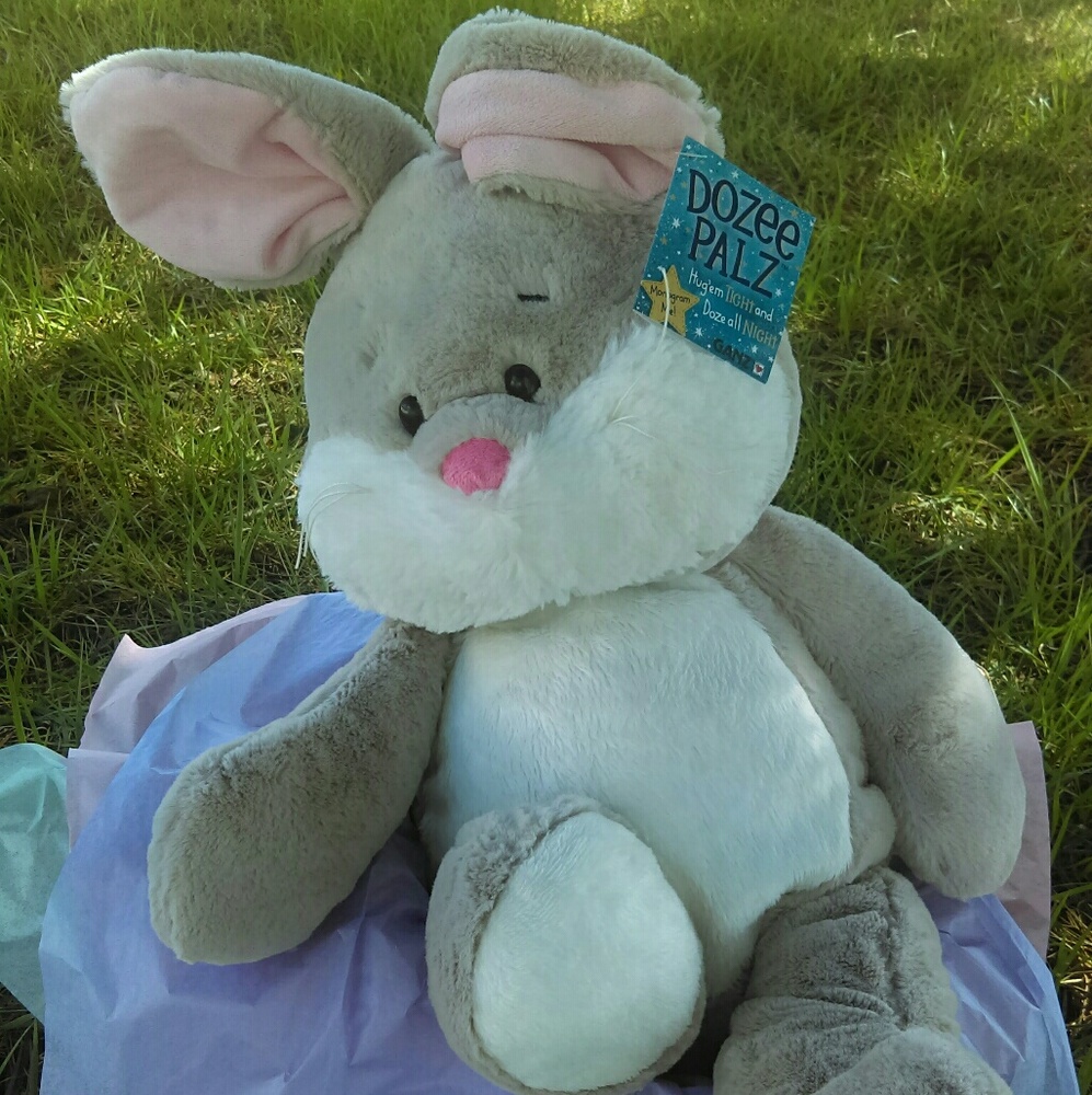Stuffed Animal