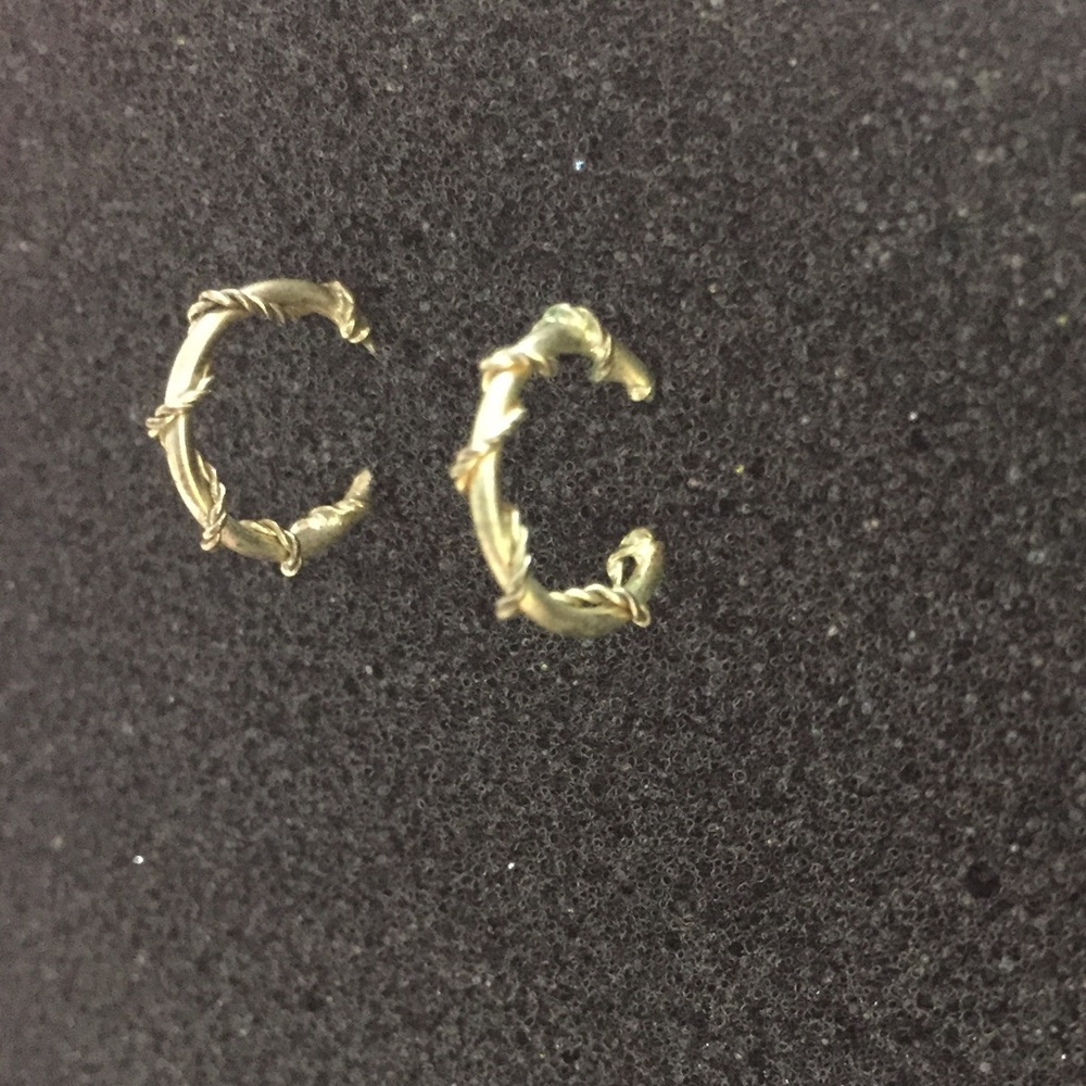 Small hoop earrings