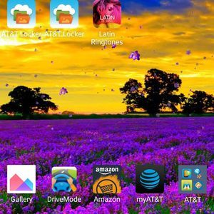 Meet your Posher, Betty