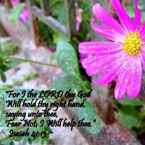 Meet your Posher, Melanie