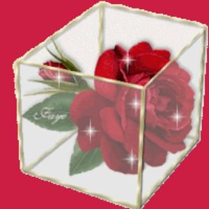 Meet your Posher, Keisha