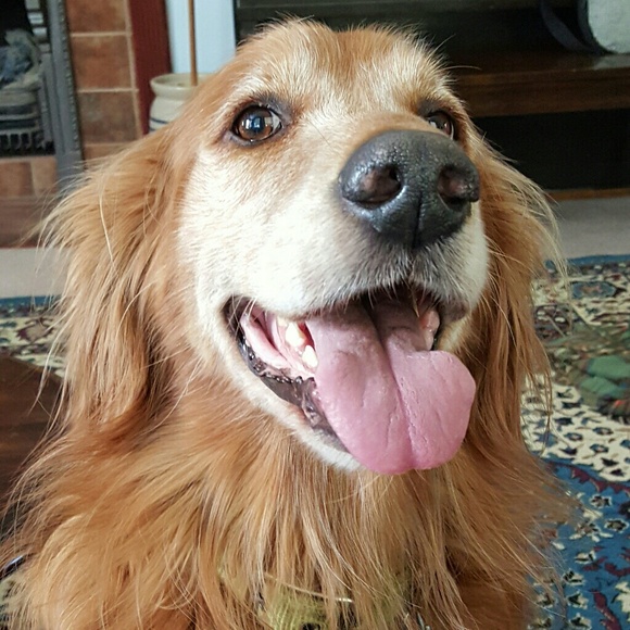 Meet your Posher, Mer! - Picture 2 of 4