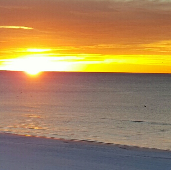 Meet your Posher, Mer! - Picture 4 of 4