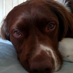 Meet your Posher, Tana