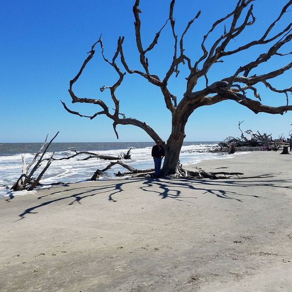 Meet your Posher, Paula - Picture 1 of 1