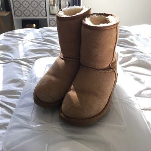 Chestnut classic short Ugg boots