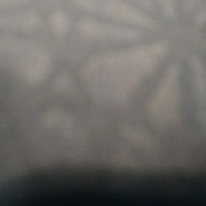 Meet your Posher, Rhyan