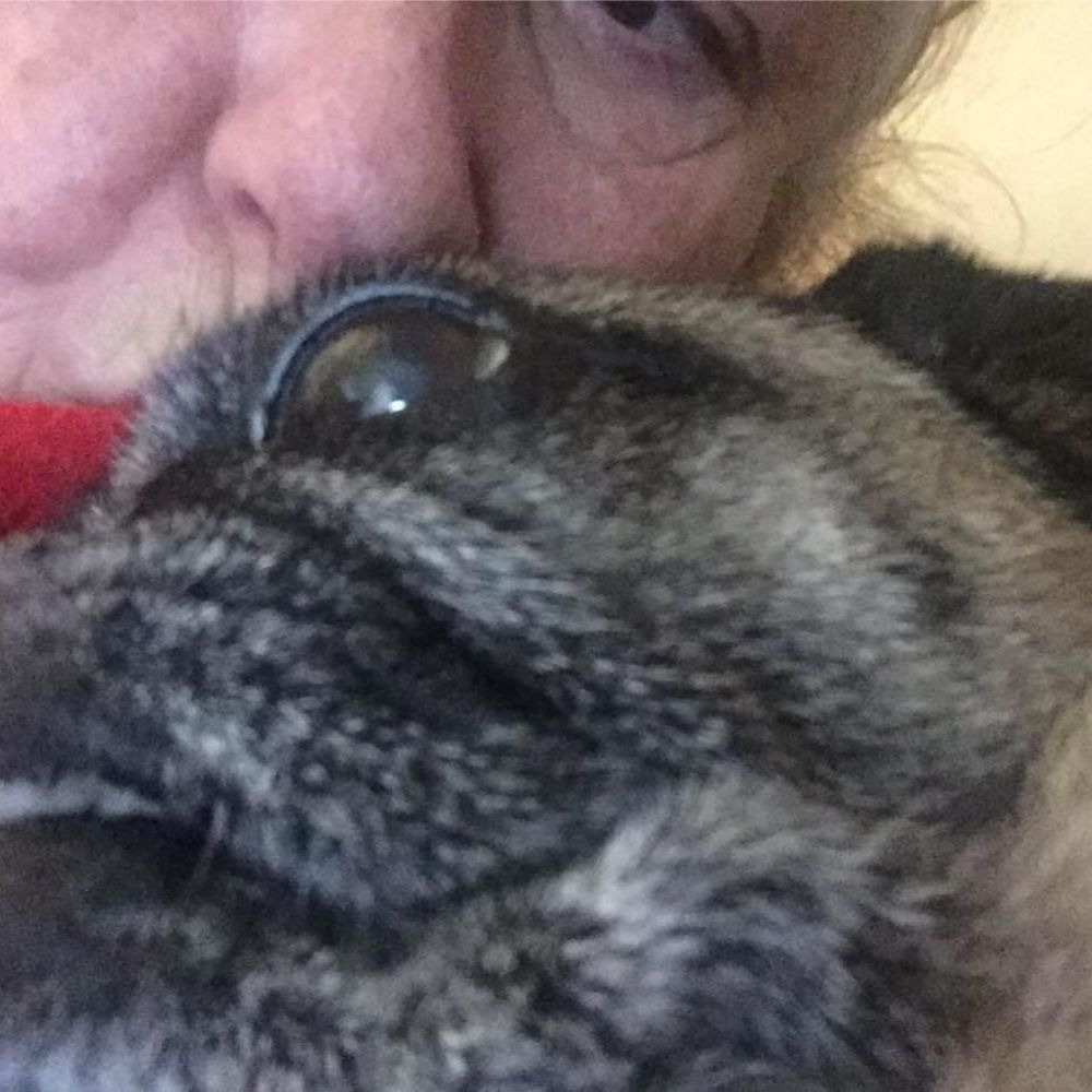 Meet your Posher, Irene