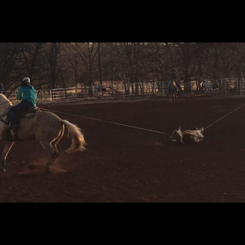 Meet your Posher, Heath-shelley