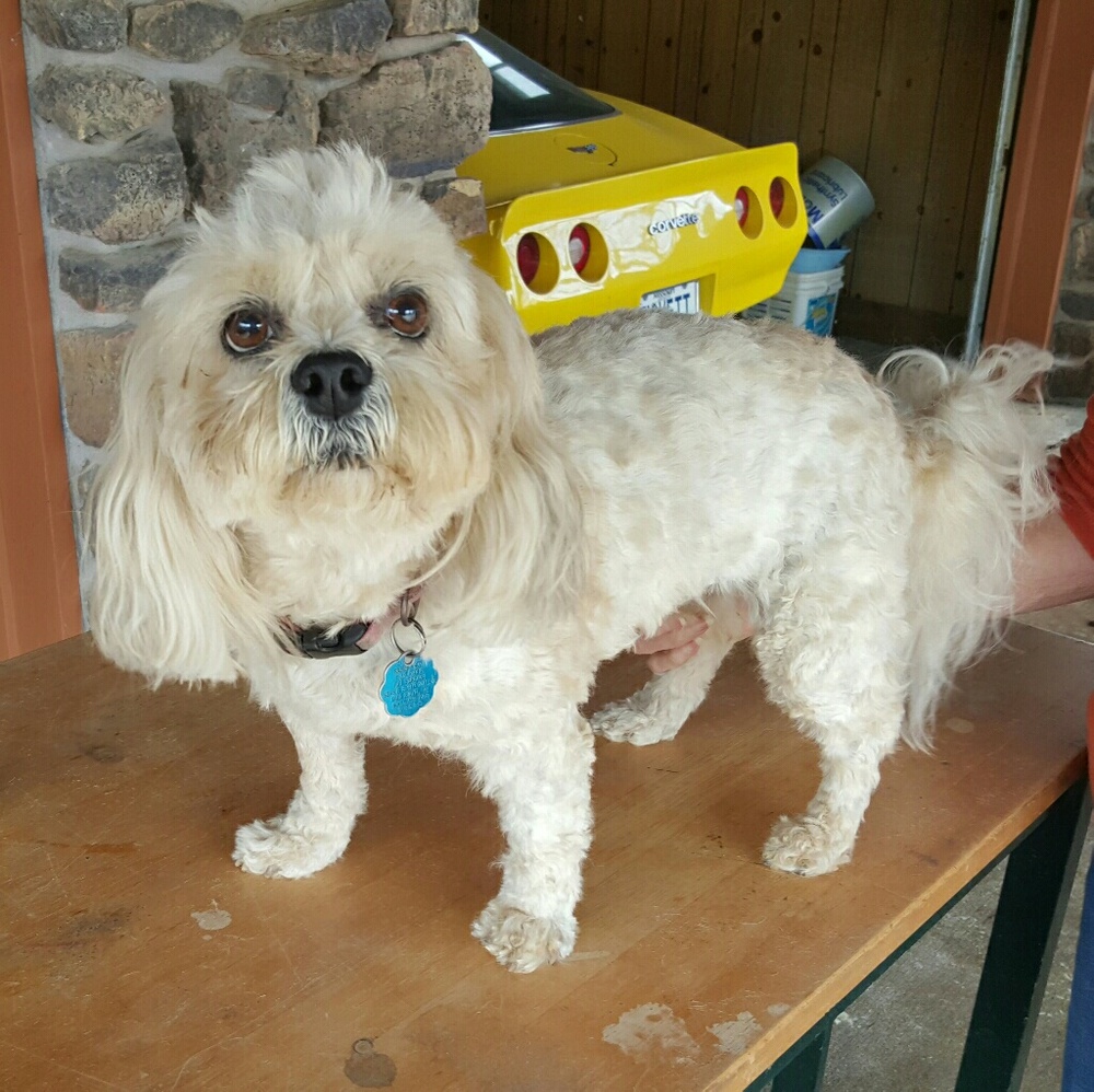 Meet your Posher, Tamara