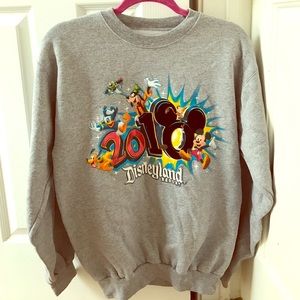 Warm Disneyland sweatshirt.