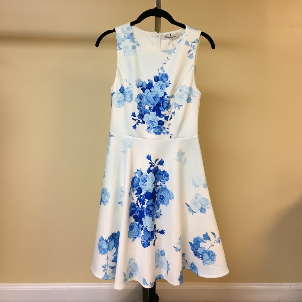 Sleeveless white with blue flowered dress