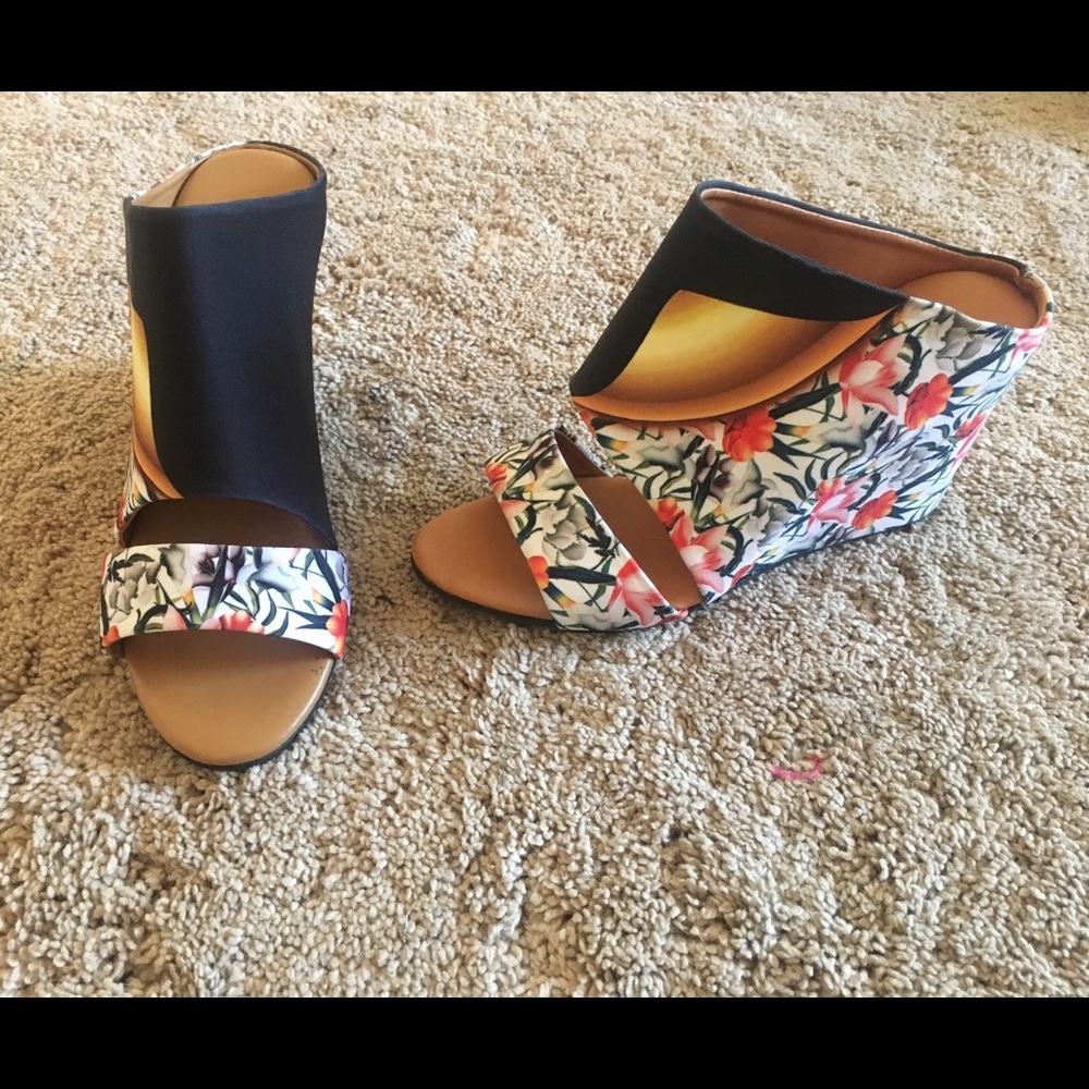 Clover Canyon wedges