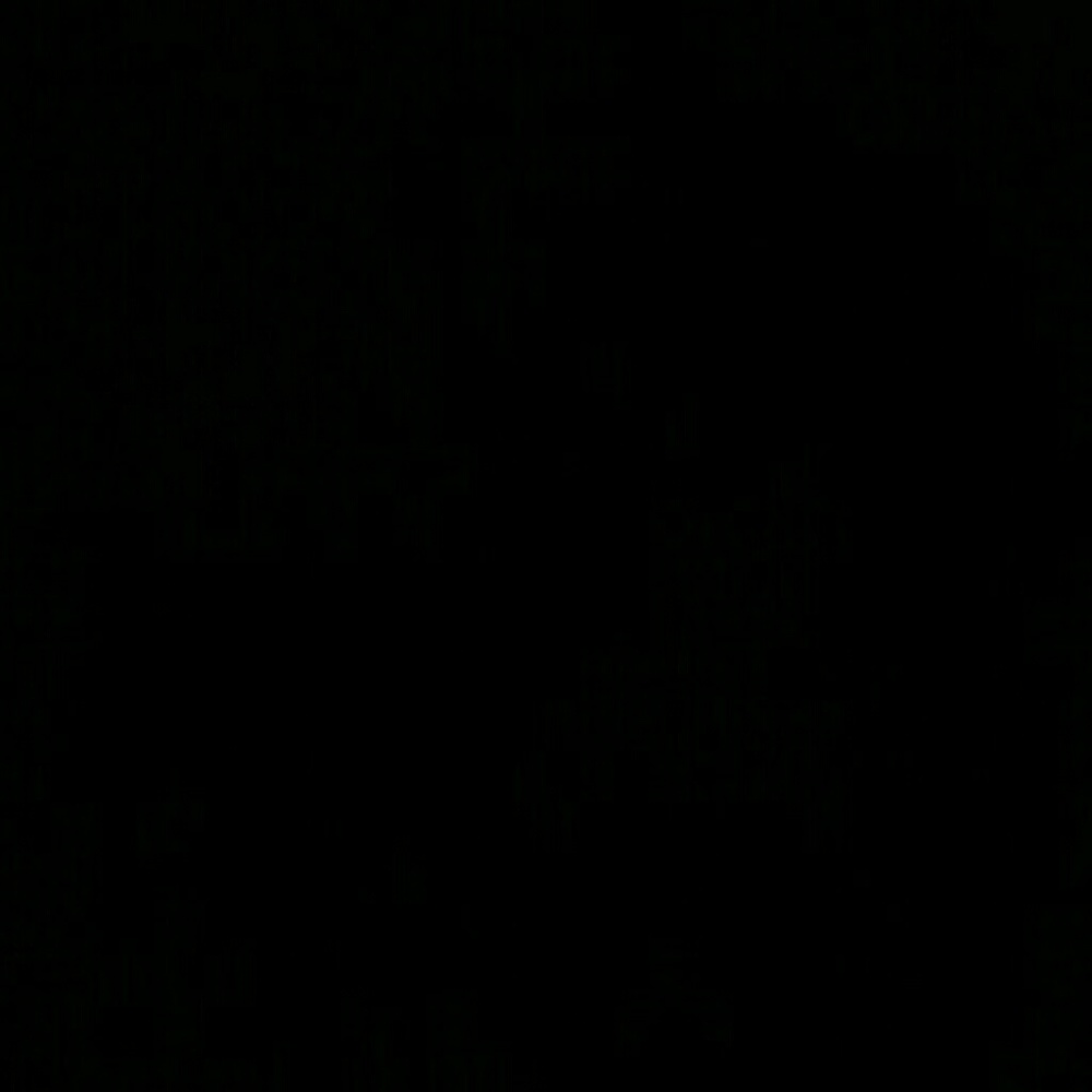 Meet your Posher, Elsah