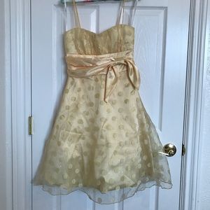 Homecoming or Prom Dress