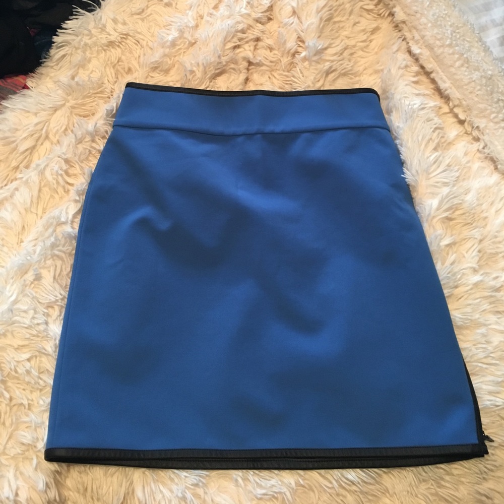 Ann Taylor skirt