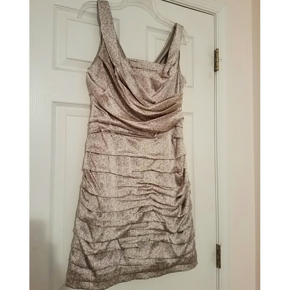 Express Rouched Dress (silver)