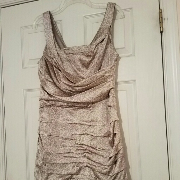 Express Rouched Dress (silver) - Picture 2 of 4