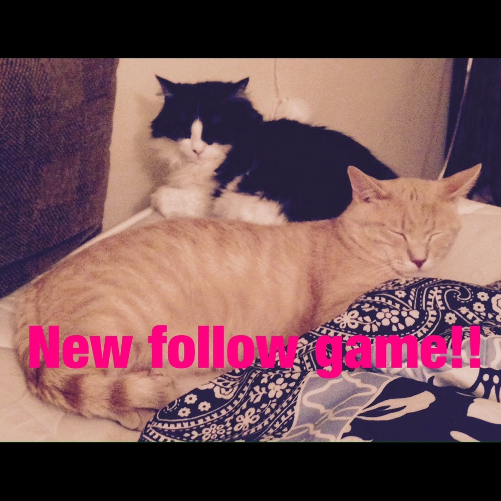 My first follow game!!